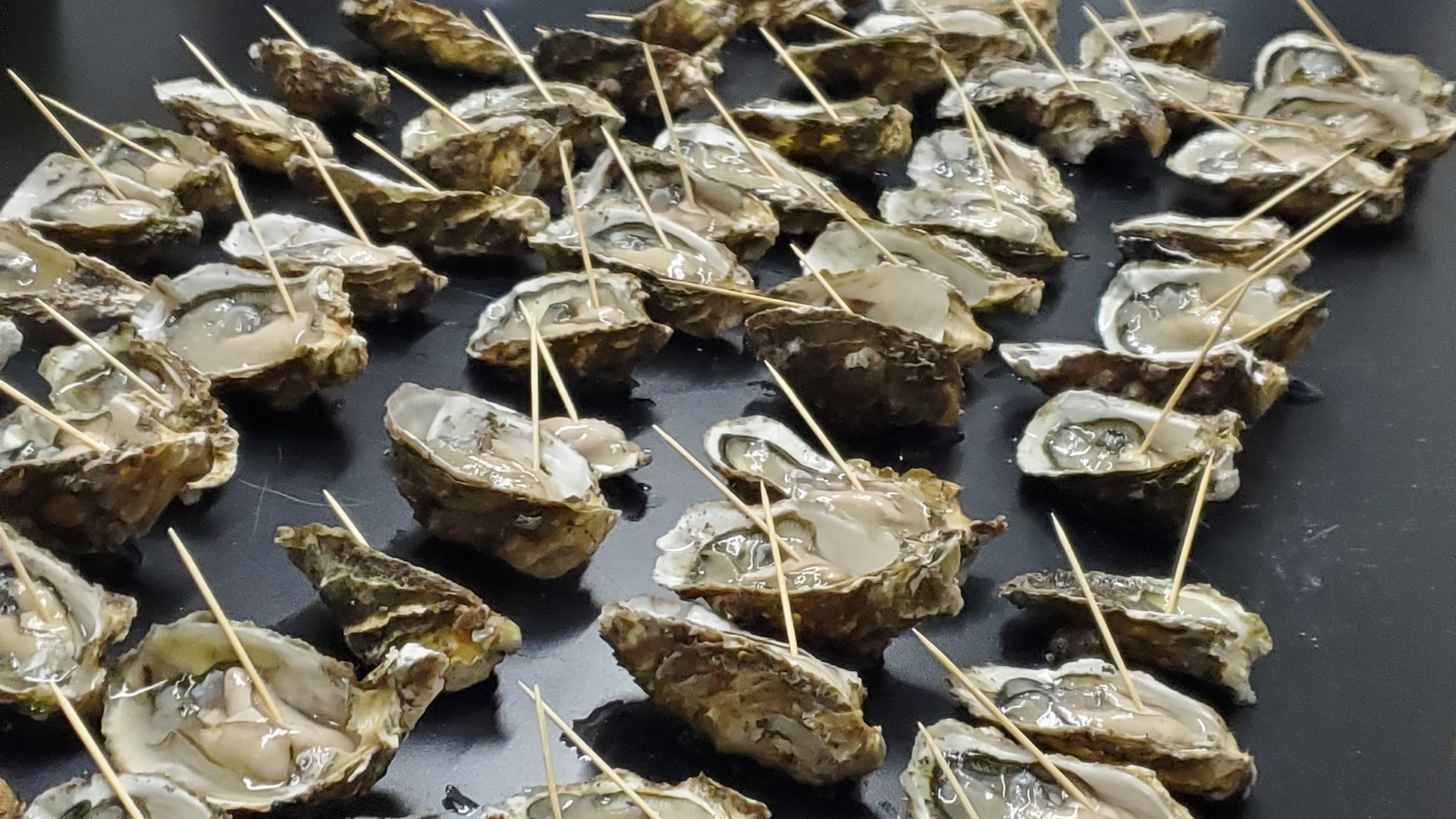 Oyster research