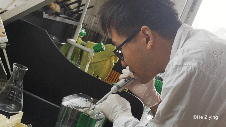 Lab shot